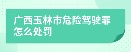 广西玉林市危险驾驶罪怎么处罚