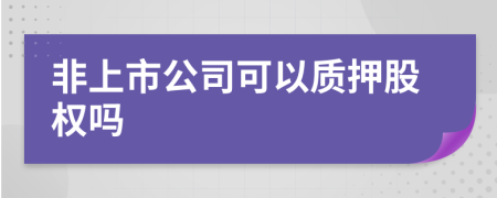 非上市公司可以质押股权吗