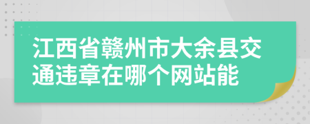 江西省赣州市大余县交通违章在哪个网站能