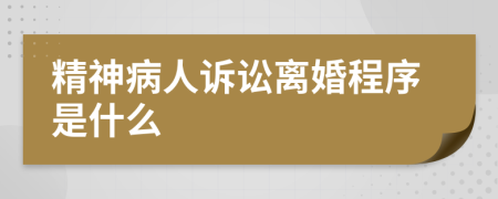 精神病人诉讼离婚程序是什么