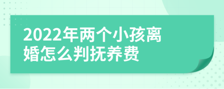 2022年两个小孩离婚怎么判抚养费