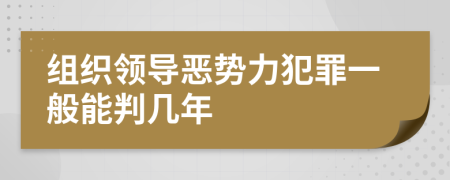 组织领导恶势力犯罪一般能判几年