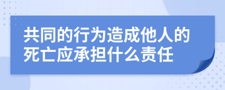 共同的行为造成他人的死亡应承担什么责任