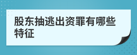 股东抽逃出资罪有哪些特征
