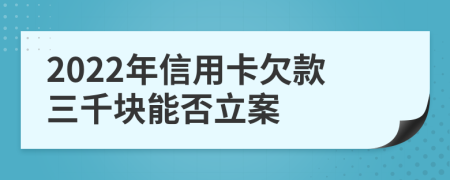 2022年信用卡欠款三千块能否立案