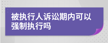 被执行人诉讼期内可以强制执行吗