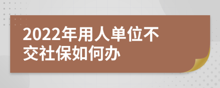2022年用人单位不交社保如何办