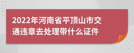 2022年河南省平顶山市交通违章去处理带什么证件
