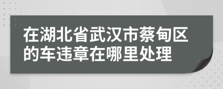 在湖北省武汉市蔡甸区的车违章在哪里处理