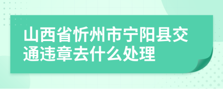 山西省忻州市宁阳县交通违章去什么处理