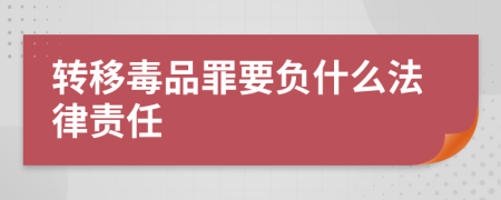 转移毒品罪要负什么法律责任