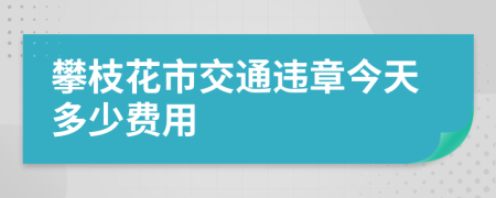 攀枝花市交通违章今天多少费用