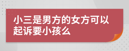 小三是男方的女方可以起诉要小孩么