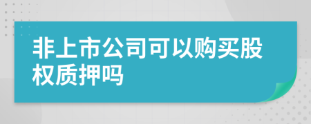 非上市公司可以购买股权质押吗