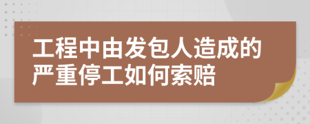 工程中由发包人造成的严重停工如何索赔