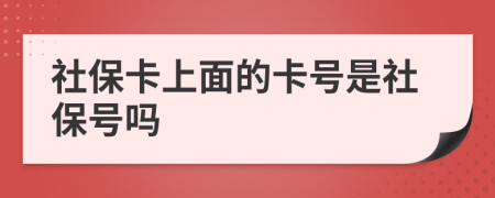 社保卡上面的卡号是社保号吗