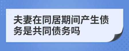 夫妻在同居期间产生债务是共同债务吗