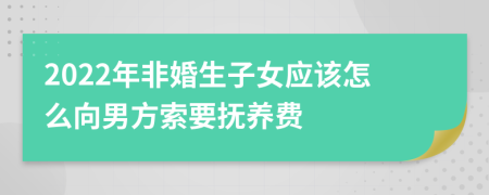 2022年非婚生子女应该怎么向男方索要抚养费