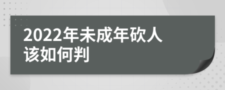 2022年未成年砍人该如何判