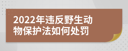 2022年违反野生动物保护法如何处罚