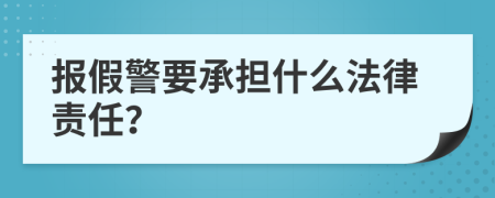 报假警要承担什么法律责任？