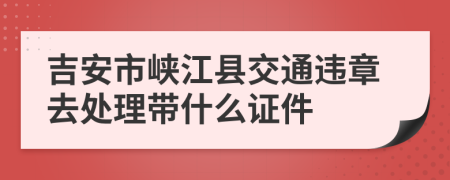 吉安市峡江县交通违章去处理带什么证件