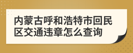 内蒙古呼和浩特市回民区交通违章怎么查询