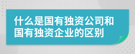 什么是国有独资公司和国有独资企业的区别