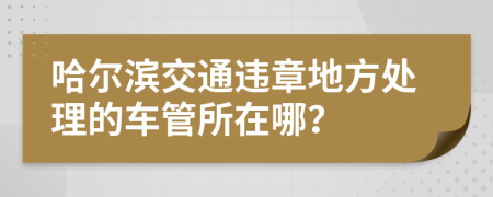 哈尔滨交通违章地方处理的车管所在哪？