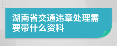 湖南省交通违章处理需要带什么资料