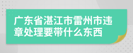 广东省湛江市雷州市违章处理要带什么东西