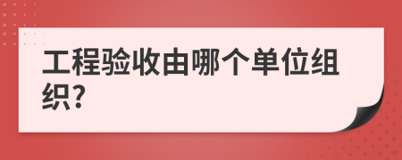 工程验收由哪个单位组织?