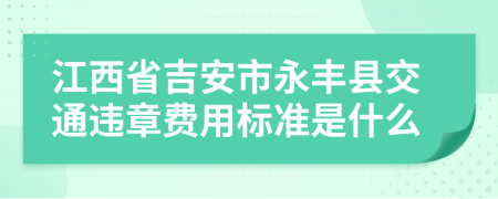 江西省吉安市永丰县交通违章费用标准是什么