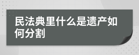 民法典里什么是遗产如何分割