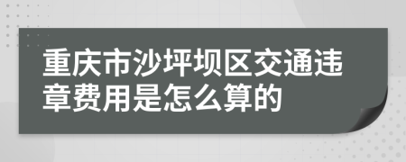 重庆市沙坪坝区交通违章费用是怎么算的