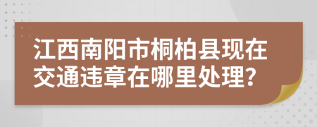 江西南阳市桐柏县现在交通违章在哪里处理？