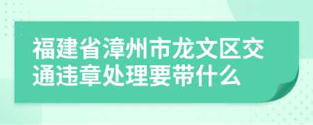 福建省漳州市龙文区交通违章处理要带什么