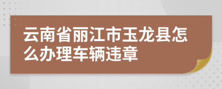 云南省丽江市玉龙县怎么办理车辆违章