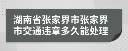 湖南省张家界市张家界市交通违章多久能处理