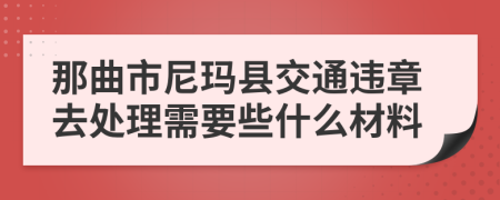 那曲市尼玛县交通违章去处理需要些什么材料