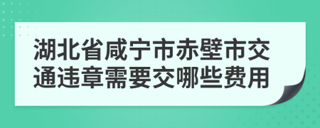 湖北省咸宁市赤壁市交通违章需要交哪些费用