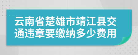 云南省楚雄市靖江县交通违章要缴纳多少费用