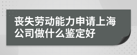 丧失劳动能力申请上海公司做什么鉴定好