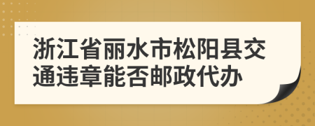 浙江省丽水市松阳县交通违章能否邮政代办