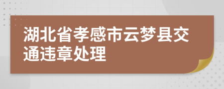 湖北省孝感市云梦县交通违章处理
