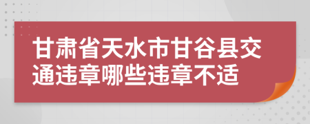 甘肃省天水市甘谷县交通违章哪些违章不适