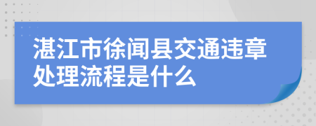 湛江市徐闻县交通违章处理流程是什么