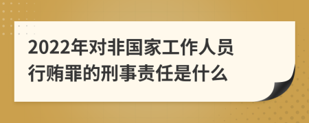 2022年对非国家工作人员行贿罪的刑事责任是什么