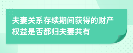 夫妻关系存续期间获得的财产权益是否都归夫妻共有