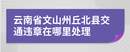 云南省文山州丘北县交通违章在哪里处理